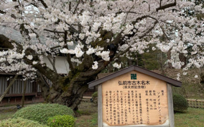 紙芝居を製作中