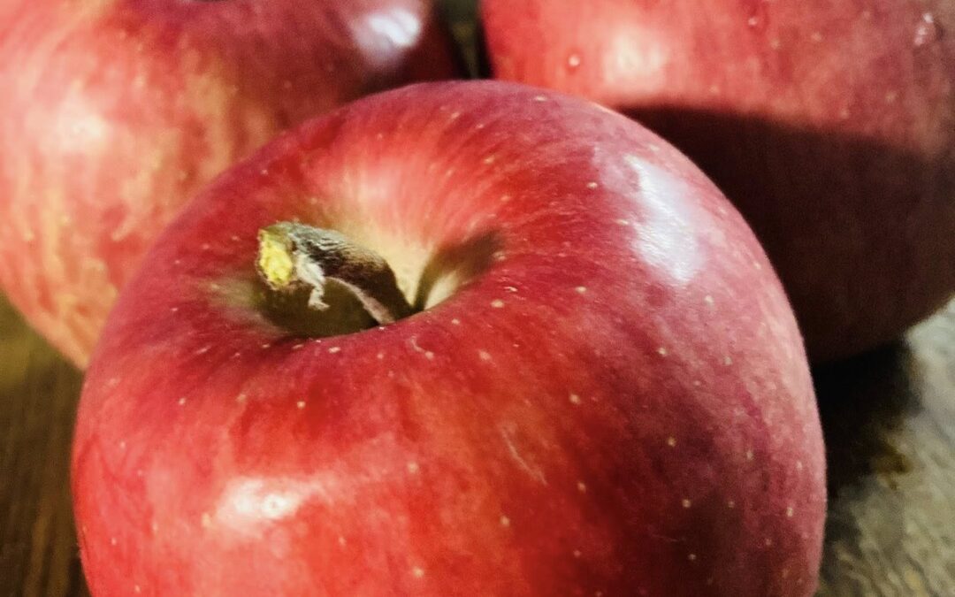 徳川を探していたら外崎嘉七に出会った