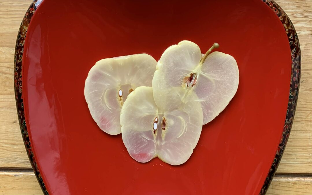 必見🍎りんごの漬物