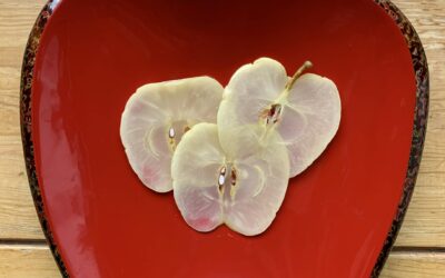 必見🍎りんごの漬物