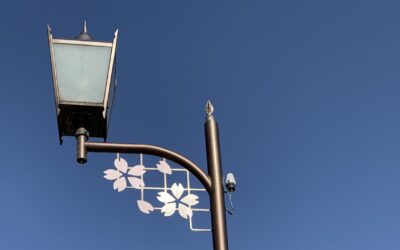 ソメイヨシノは江戸末期に生まれて