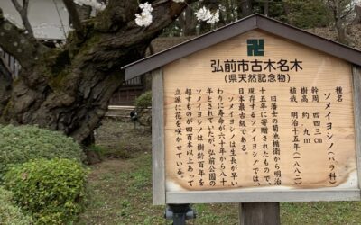 4月8日菊池楯衛さんご命日