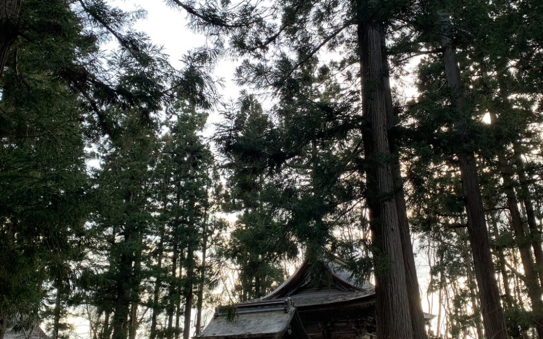 満天姫のお話を2038年までに大河ドラマにするロードマップを作りました
